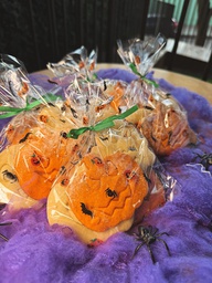 [2402] Biscoito Sustinho